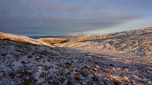 Towards Brukviknipa from southeast of the summit of Sælinga