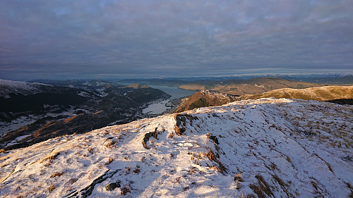 Sælinga with Arnavågen in the background