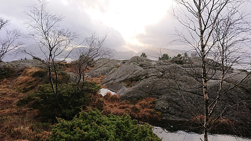 Ørneberget