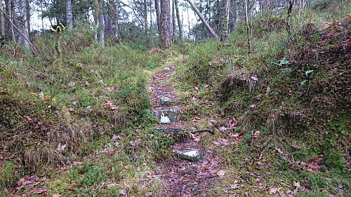 The trail to Ramsvikhaugen