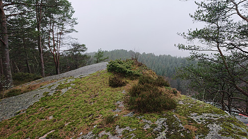 The northwestern summit of Vardehaugen