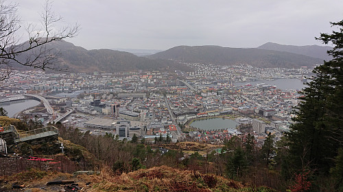 The Bergen city center from just above the upper station of Fløibanen