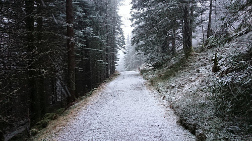 The gravel road below Storediket