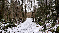 Gravel road in Åstveitskogen
