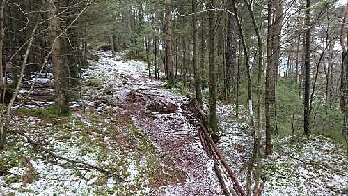 Approaching the summit of Hestaberget