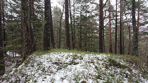 The summit of Hestaberget