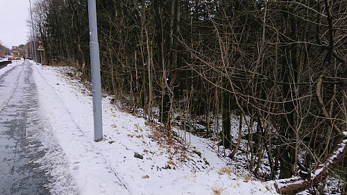 Unmarked trailhead for the trail around Griggastemma