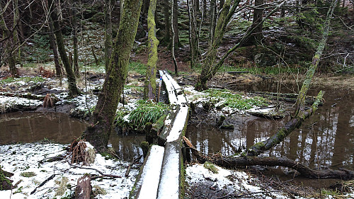 The trail around Griggastemma