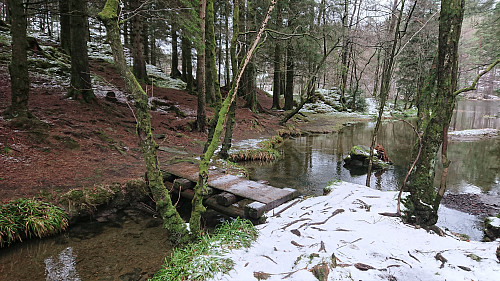 Bridge along the trail around Griggastemma
