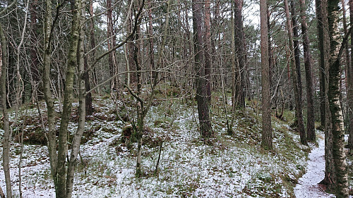 The highest point on the east side of Griggastemma. Potentially named Stemhøyen?