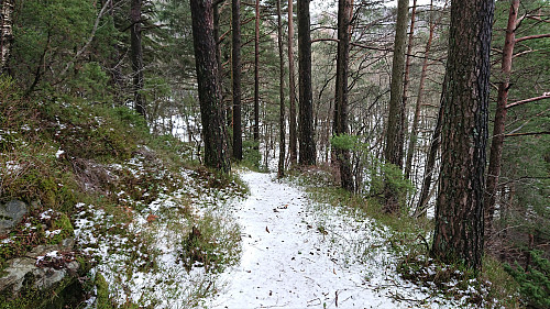 Trail around Griggastemma