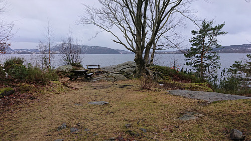 Part of Utnehagen with Lyderhorn in the background