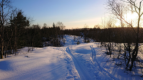 The shortcut back to the ski tracks