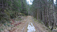 The tractor road