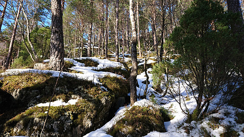 Off-trail towards the summit