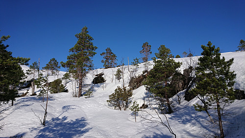 Approaching the summit