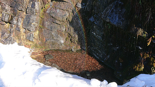 Tiny rainbow right next to the road! :)