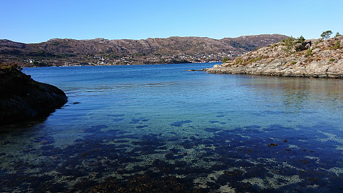 Skjervika