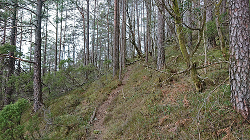 Trail to Hatlesteinen