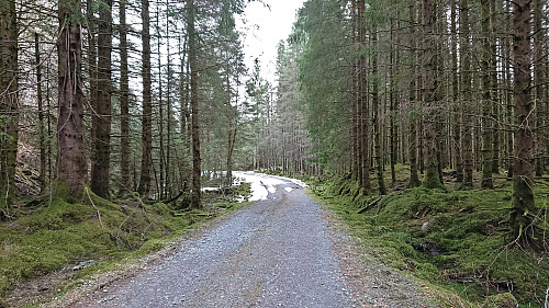 Gravel road east of Hatlesteinen