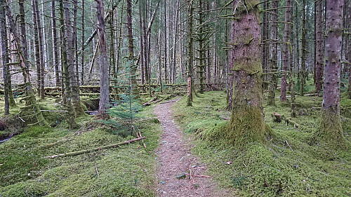 The trail between Erikstølen and the gravel road to Svartavatnet