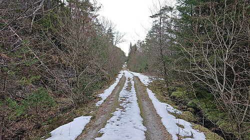 The gravel road toward Svartavatnet