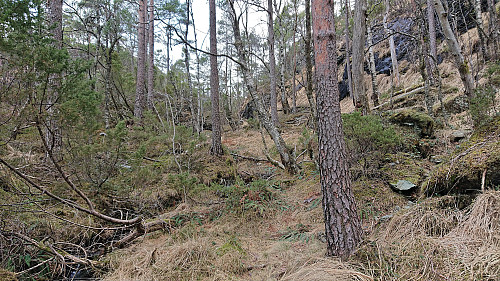 Unmarked trail to Geitaknottane from Svartavatnet
