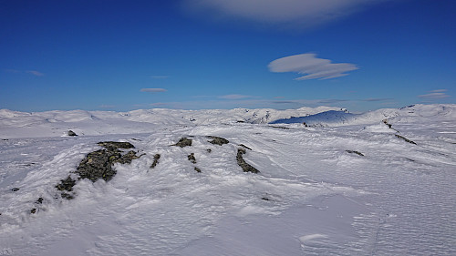Northeast from Bjørnafjellet