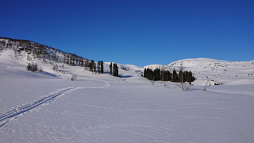 Looking back up at Storanosi and Bjørnafjellet from Fyrjo