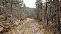Gravel road in Atramadalen