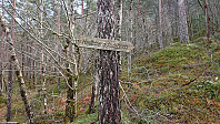 Traihead Hedlebergshidlaren