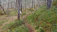 Marked trail to Hedlebergshidlaren