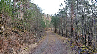 Gravel road west of Bjørnehaugen