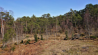 Bjørnehaugen from the gravel road