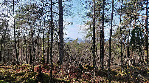 Hovlandsnuten and Tysnessåta from Bjørnehaugen