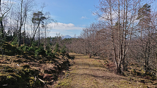 Towards Hovlandsnuten and Tysnessåta from the top of the gravel road