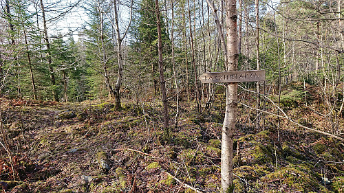 Trailhead Bakkhidlaren