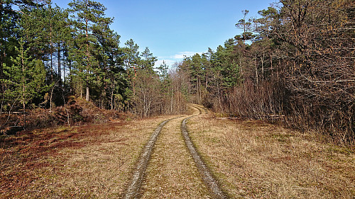 Gravel road heading north to Atramadalen