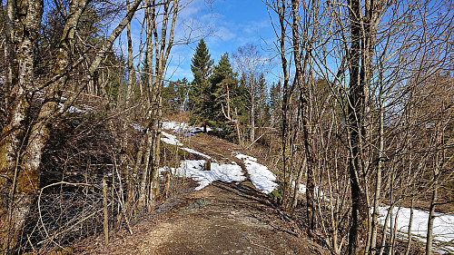 Tractor road from the last house towards the summit