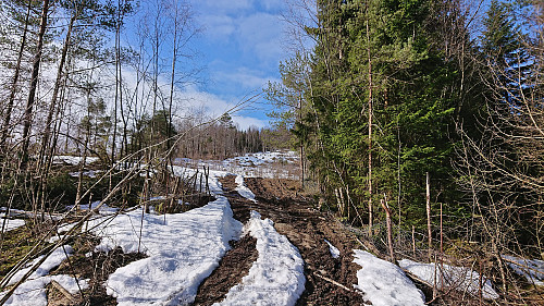 Tractor road towards the summit