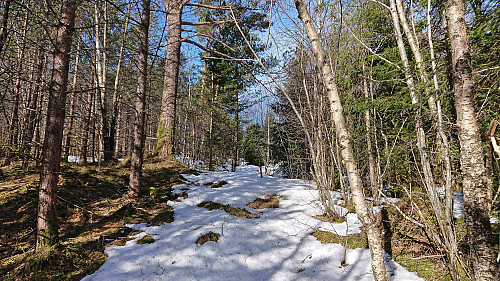 Almost at the summit (and still on a tractor road)