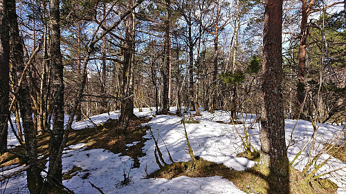 The summit of Åsen