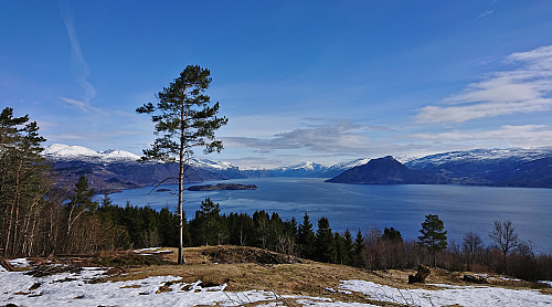 Hardangerfjorden from the start of the tractor road with Samlen to the right