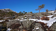 Marked trail to Hegglandsfjellet