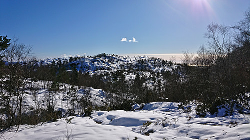 Looking back at Hegglandsfjellet
