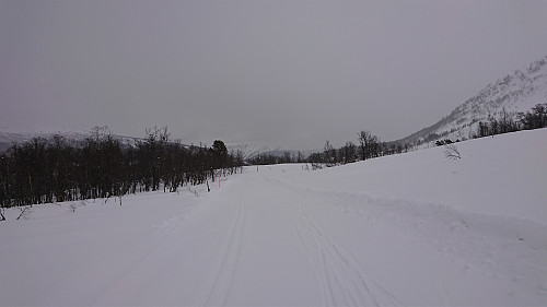 The skiing track at Hodlekve skisenter