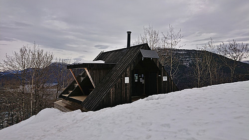 Stedjestova