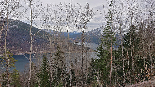 Towards Kjørnes from Stedjestova