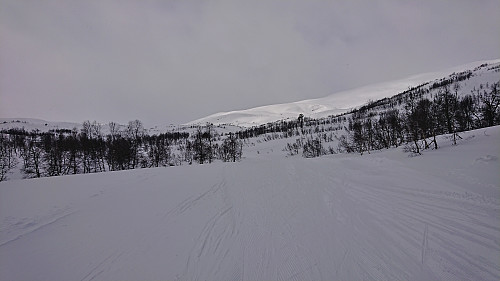 Following the ski trail west from Rindabotn