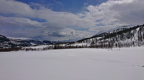 Towards Storehaugfjellet from the ski trails with Reppanipa to the right